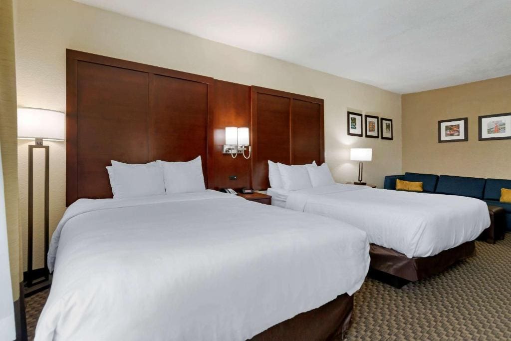 Comfort Inn & Suites Near Six Flags & Medical Center - View 7