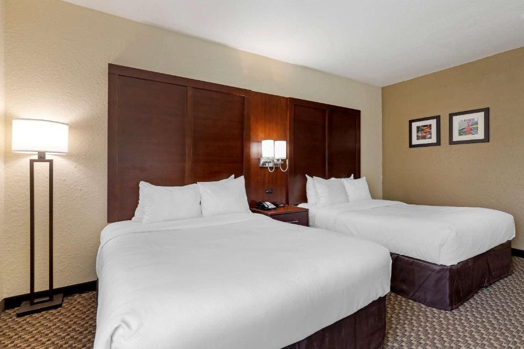 Comfort Inn & Suites Near Six Flags & Medical Center - View 6