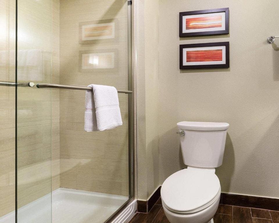 Comfort Suites near Westchase on Beltway 8 - View 7