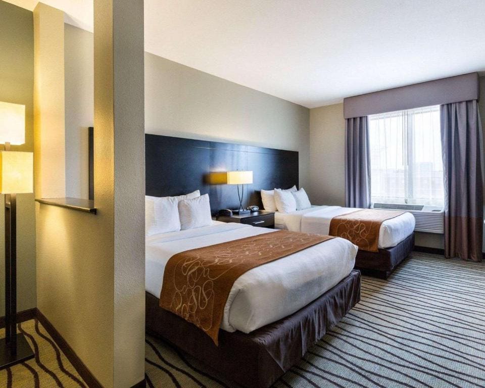 Comfort Suites near Westchase on Beltway 8 - View 6