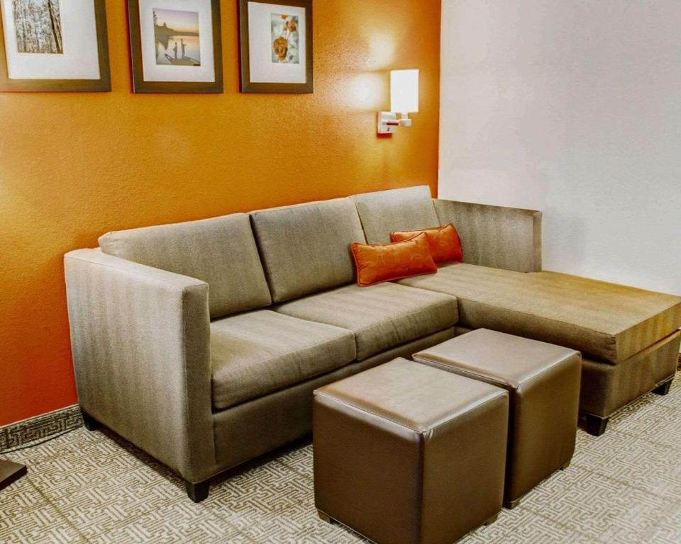 Comfort Suites Tyler South - View 6