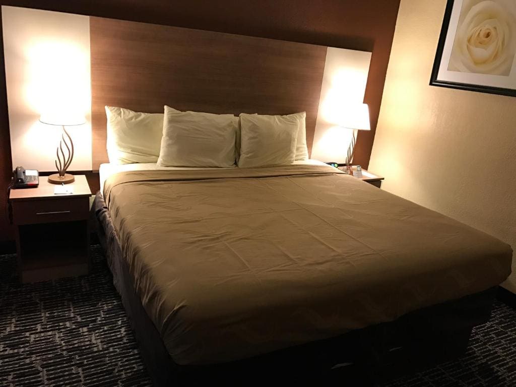 Quality Inn Near Pimlico Racetrack - View 5