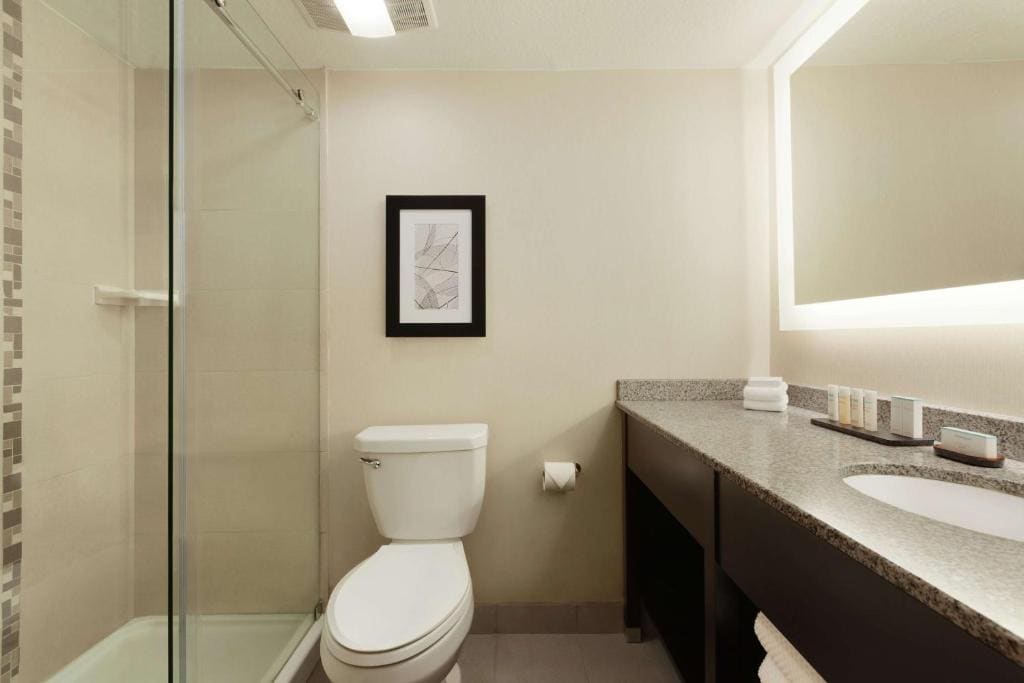 Embassy Suites by Hilton Arcadia-Pasadena Area - View 7