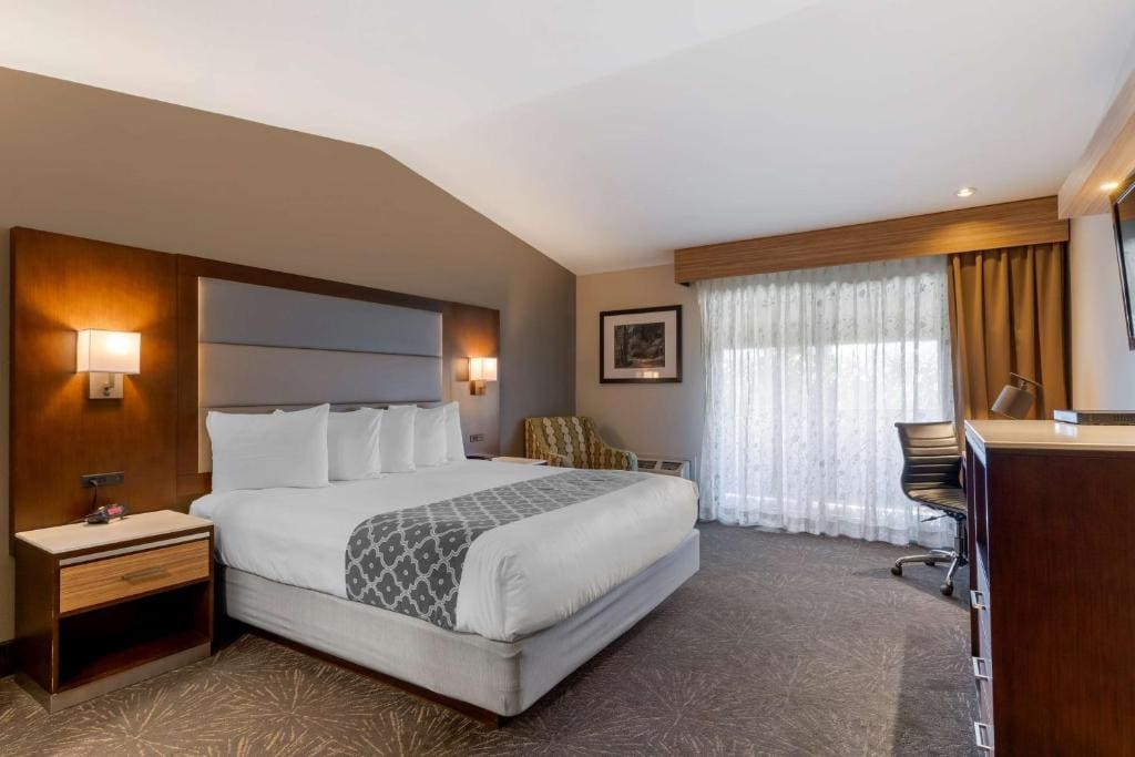 Best Western Plus Forest Park Inn - View 2