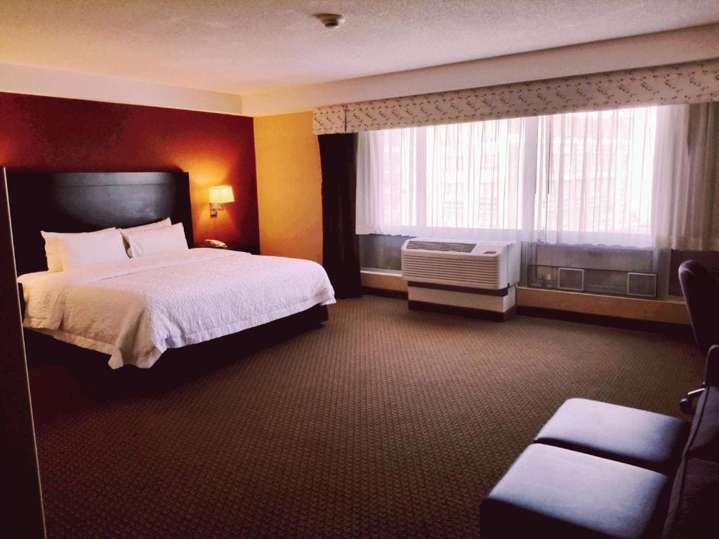 Hampton Inn & Suites Boston Crosstown Center - View 7