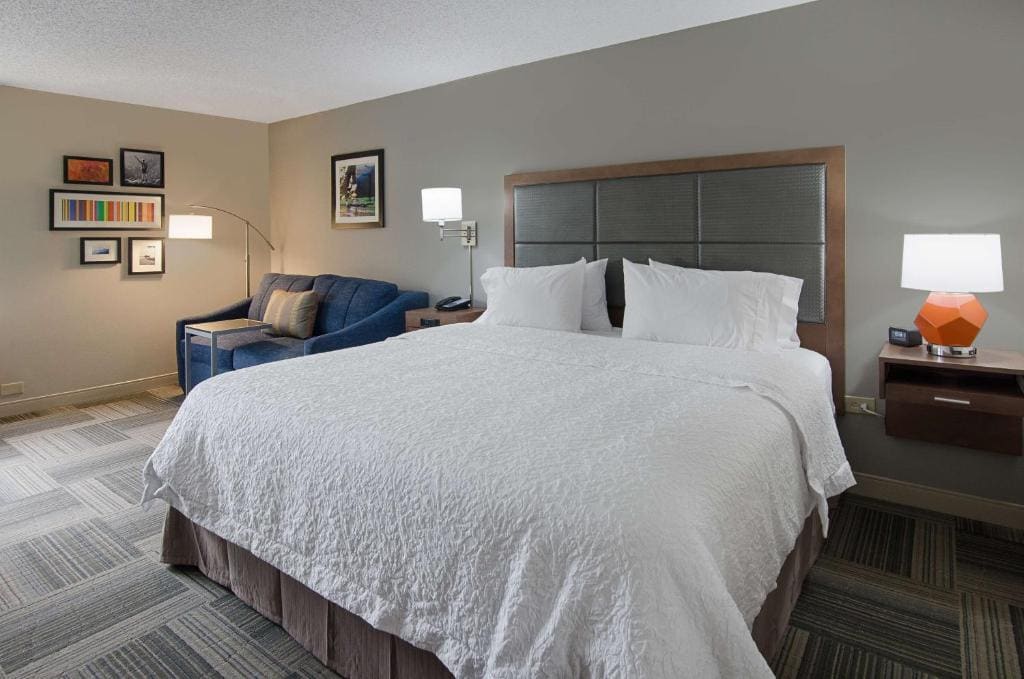 Hampton Inn Covington VA - View 7