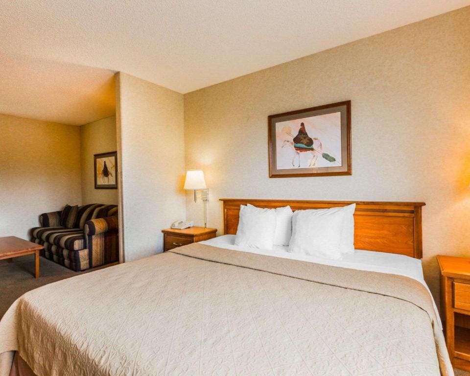 Quality Inn & Suites Montrose - Black Canyon Area - View 7