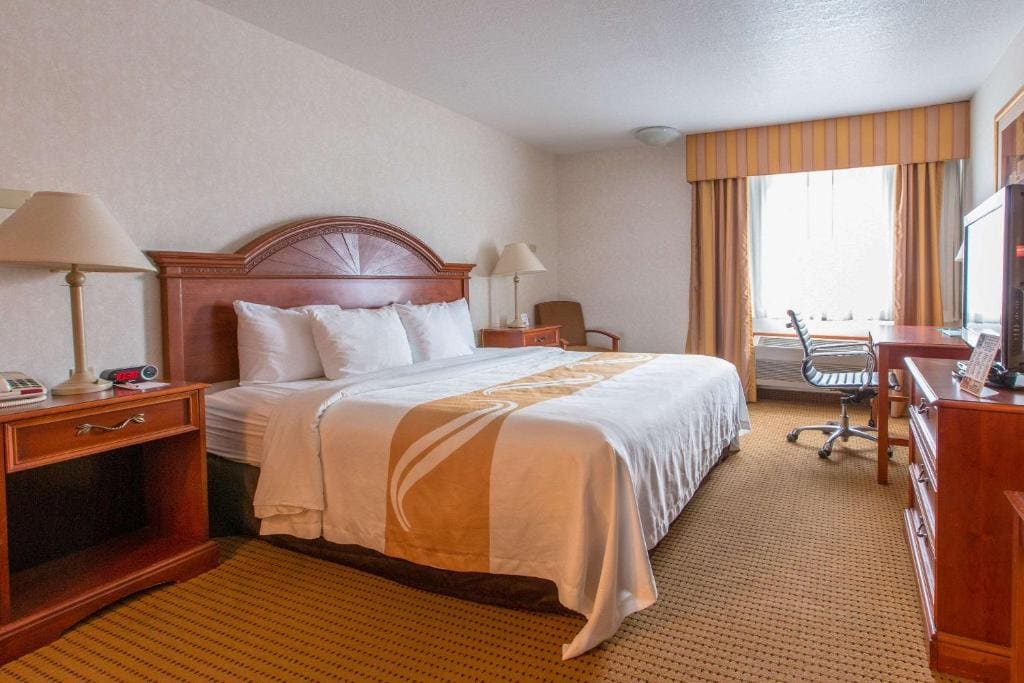 Quality Inn & Suites University - View 2