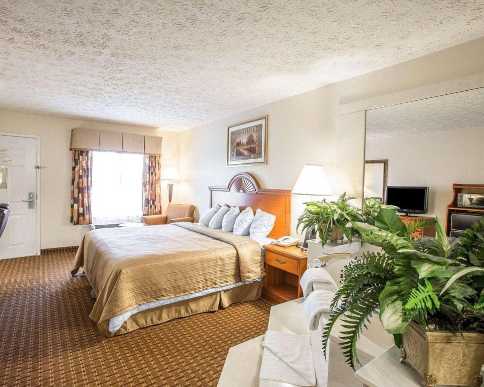 Quality Inn Dahlonega Near University - View 6