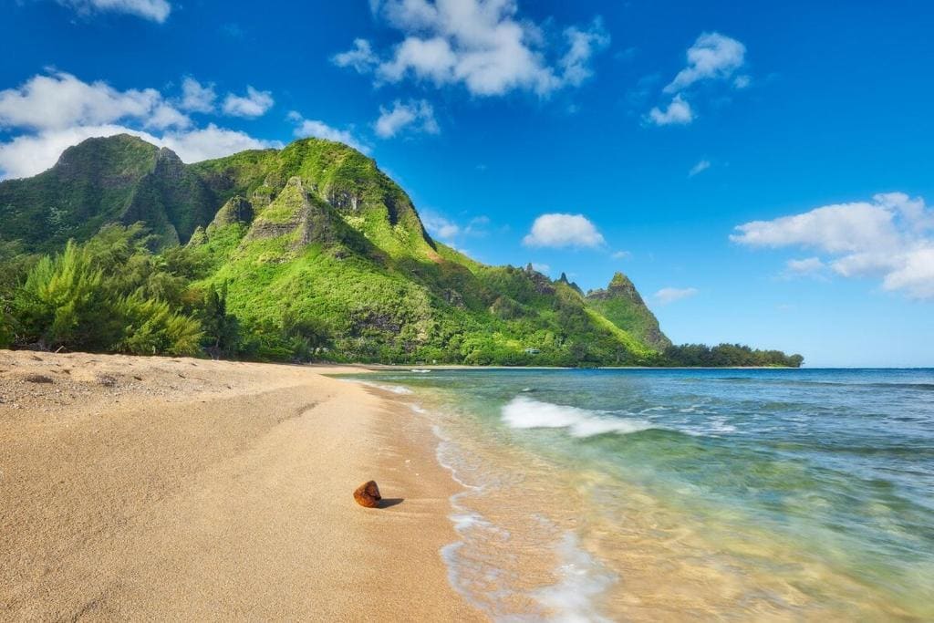 Kauai Premium Glamping - Main view