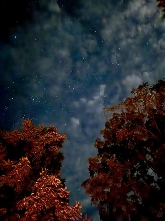 Luminous Glamping Bell Tent Retreat Missouri - View 3