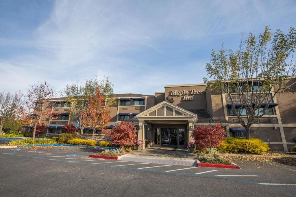 Maple Tree Inn - Main view
