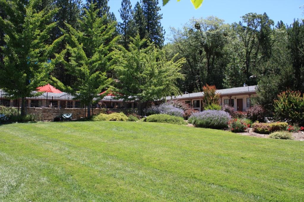Mother Lode Motel - View 5