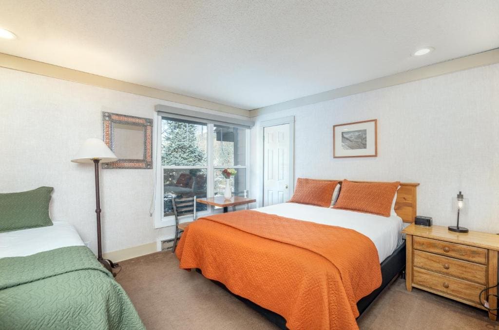 Mountainside Inn 117 by Alpine Lodging Telluride - View 2