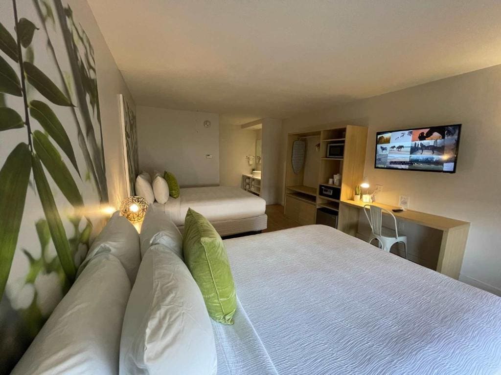 Newly renovated room in cozy hotel near Disney 2 - View 7