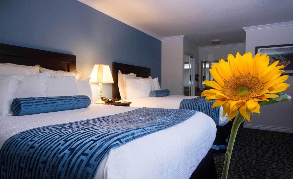 Regency Inn in Los Angeles - View 7