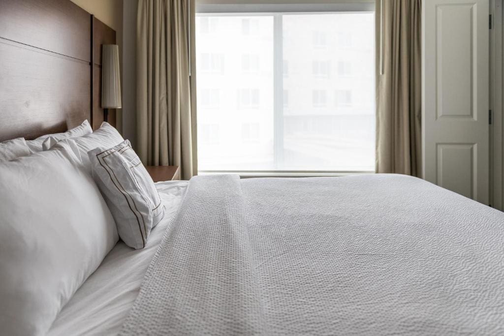 Residence Inn by Marriott Toledo West - View 7