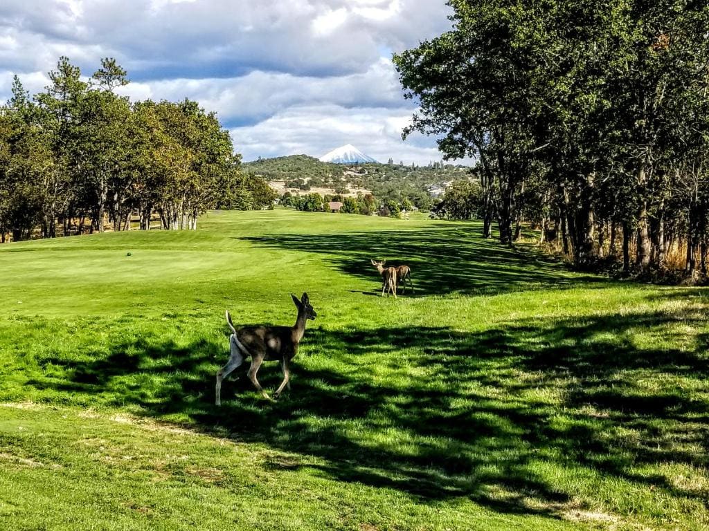 Resort at Eagle Point Golf Club Lodging - View 6