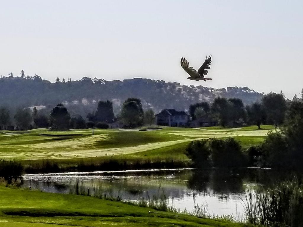 Resort at Eagle Point Golf Club Lodging - View 5
