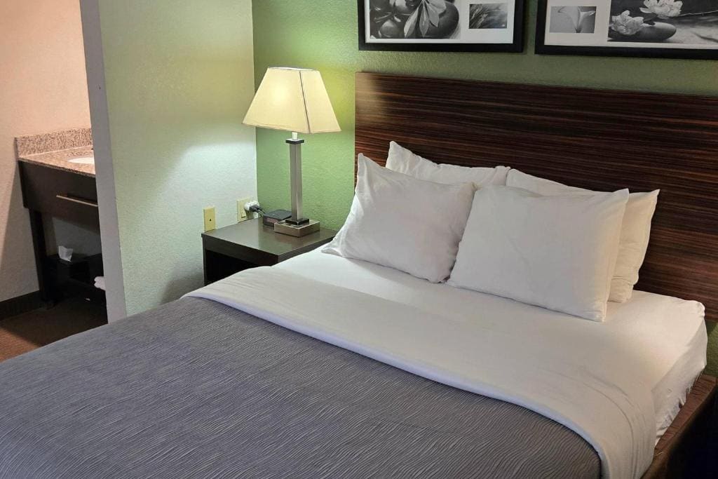 Quality Inn Kansas City International Airport - View 7