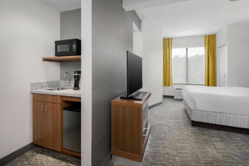 SpringHill Suites by Marriott Athens West - व्यू 6