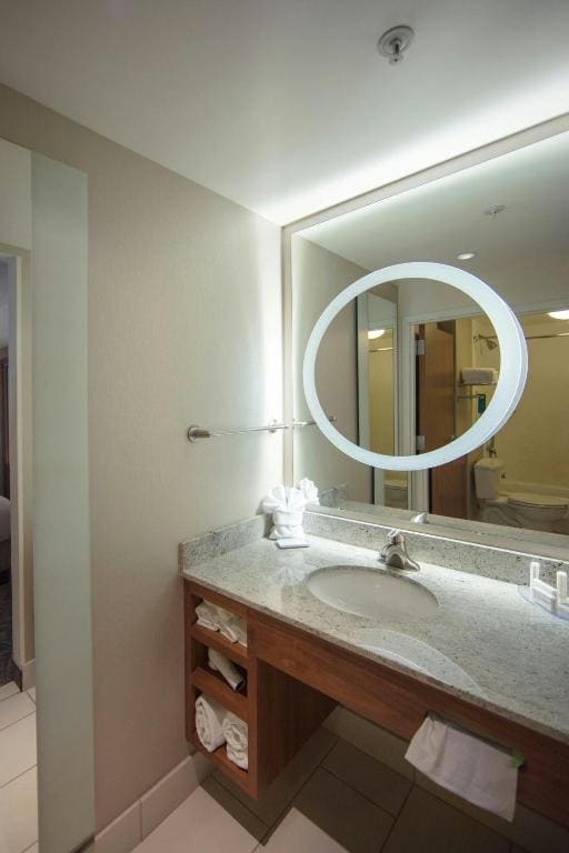 SpringHill Suites by Marriott Athens West - मुख्य व्यू