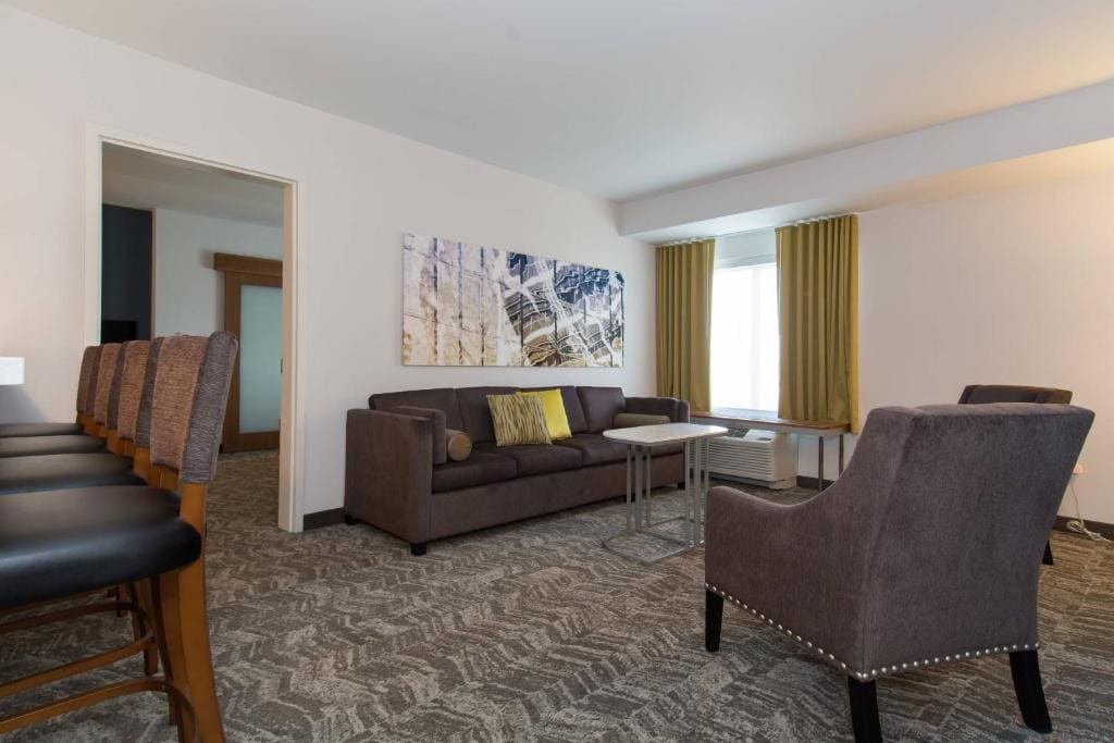 SpringHill Suites by Marriott Charlotte Ballantyne - View 7