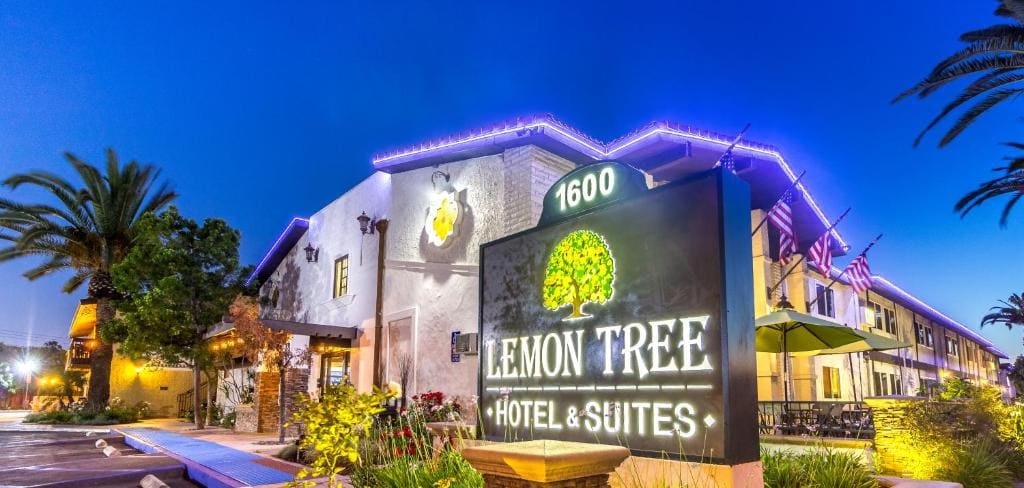 The Lemon Tree Hotel - Main view