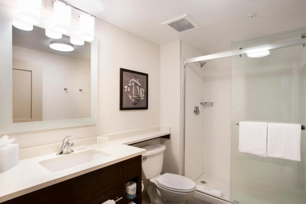 TownePlace Suites by Marriott San Mateo Foster City - View 3