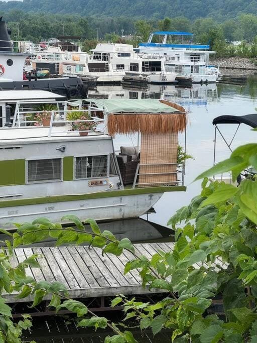 Vintage Minnow for 2 Houseboat - View 7