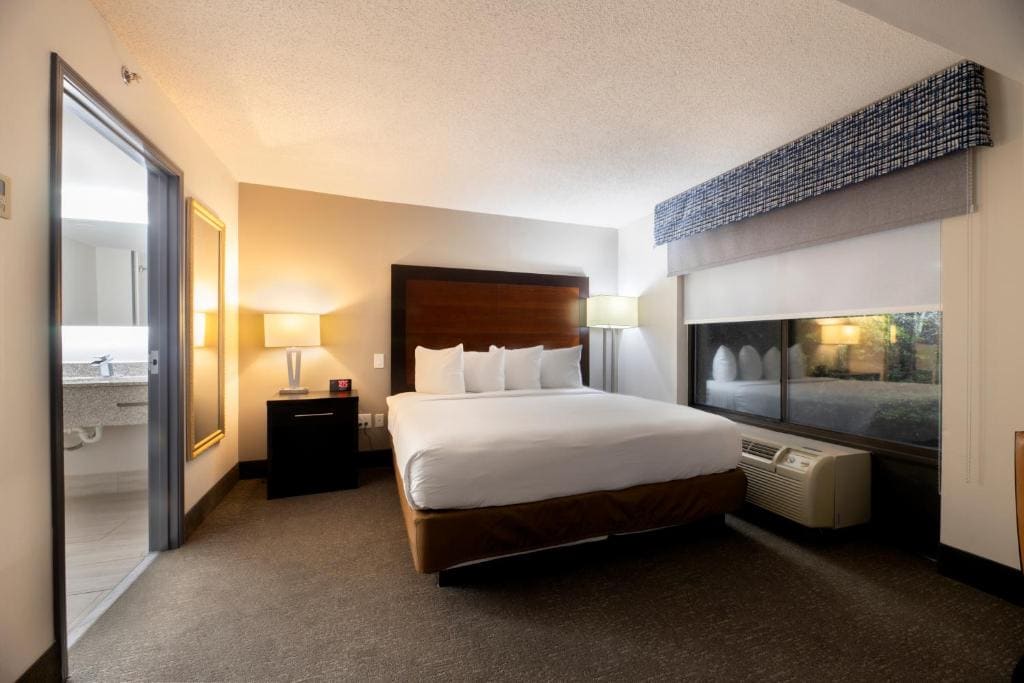 Wingate by Wyndham Atlanta Galleria/ Ballpark - View 7