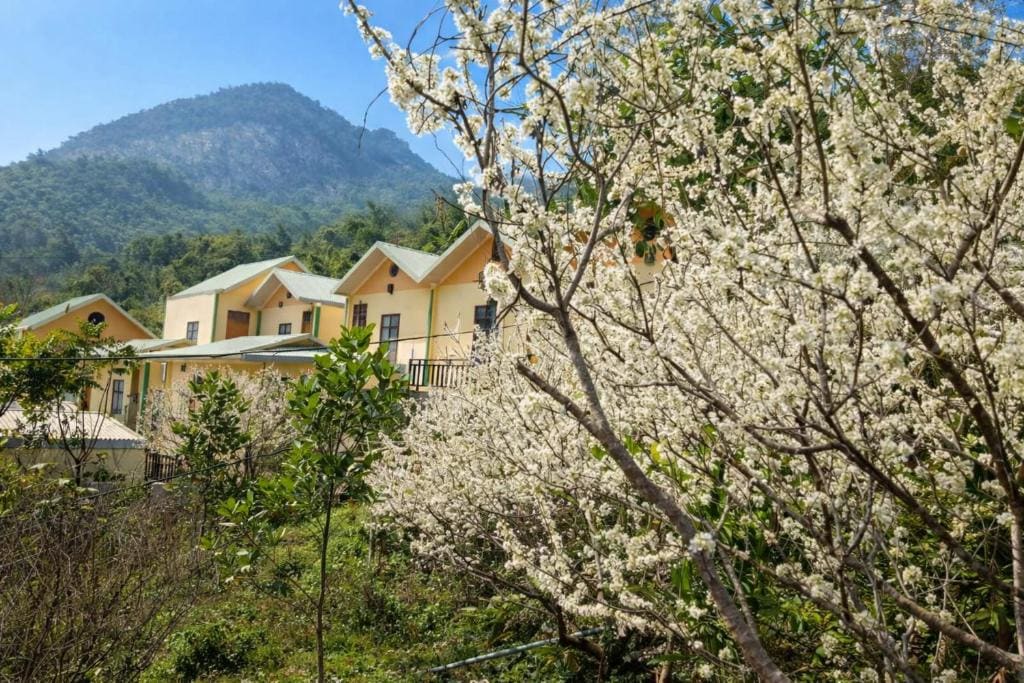 Hoa Lan Hotel - Main view