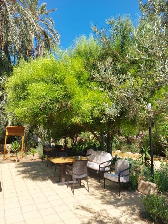 Golden Palms Guest House & Cafe - View 6