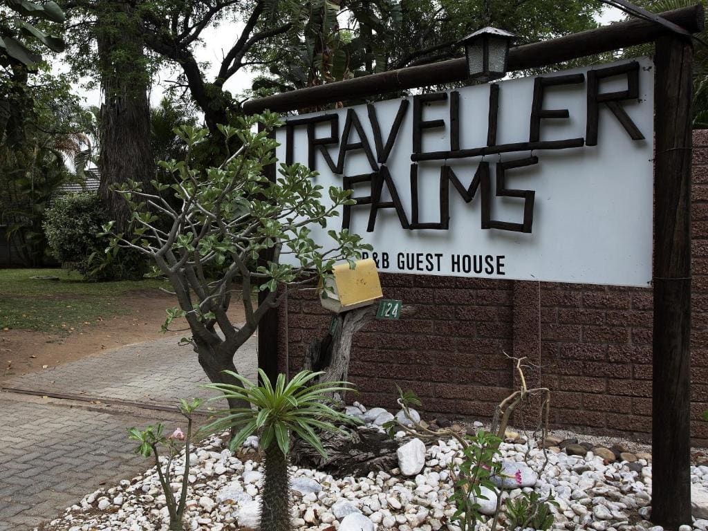 A Traveller's Palm - Main view
