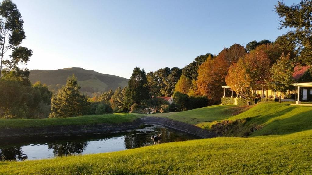 Arum Hill Lodge - View 4