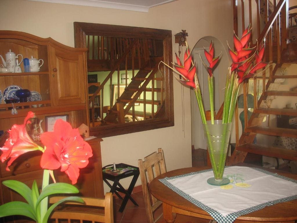 Bottlenose B&B - Main view