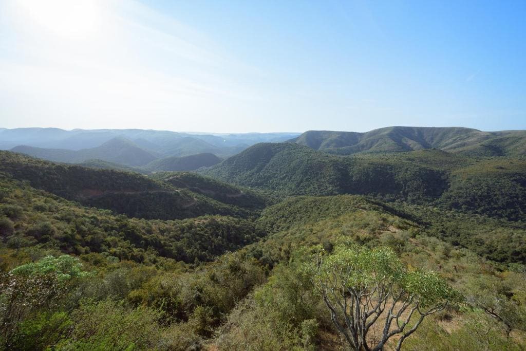 Camp Figtree by The Oyster Collection - View 5