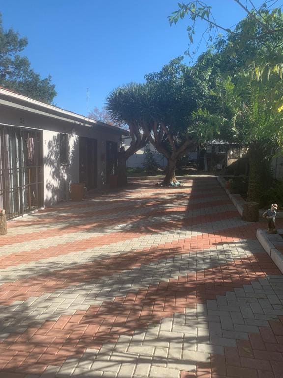 Cycad Stay - Main view