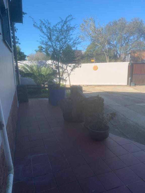 Cycad Stay - View 3