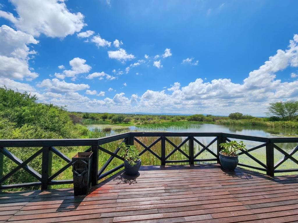 Ditholo Game Lodge Bela Bela - View 7