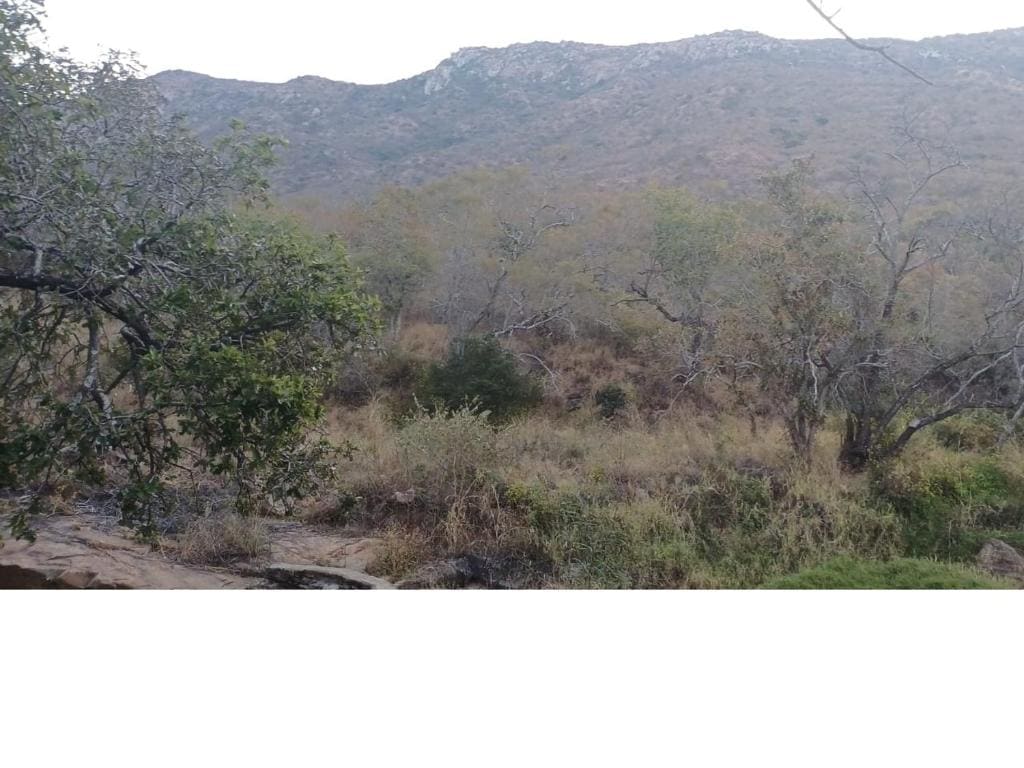 Inkonka Game farm - View 2