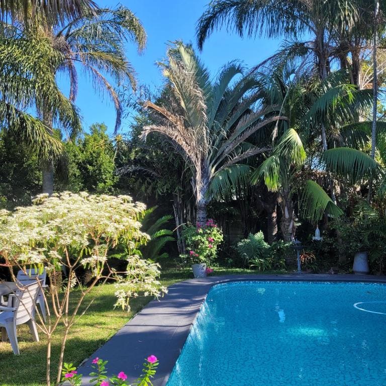 Kennington Palms B&B/Self Catering - View 5