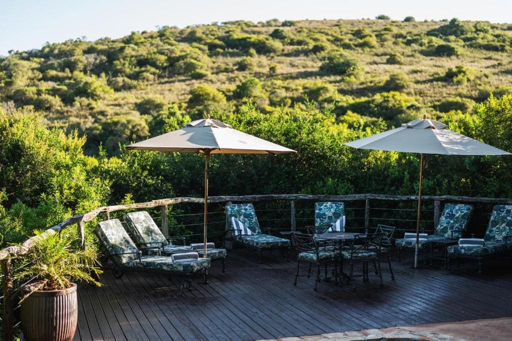 Lalibela Wildlife Reserve - Mark's Camp Family Lodge - View 6