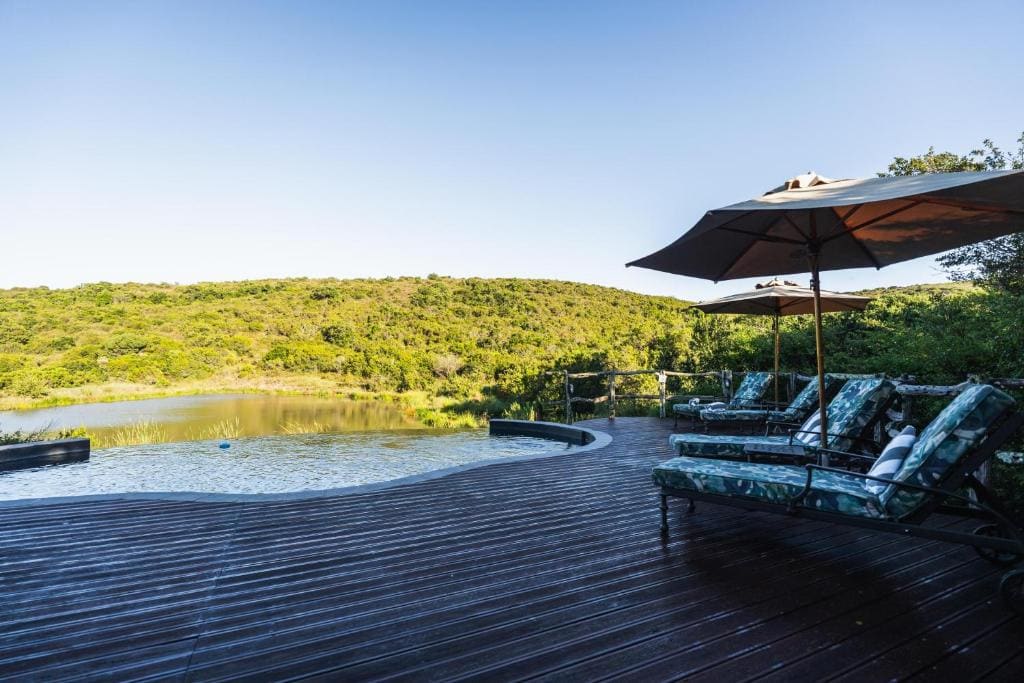 Lalibela Wildlife Reserve - Mark's Camp Family Lodge - View 3