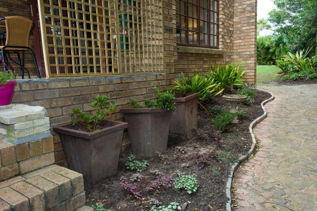 Lavender Lane - View 5