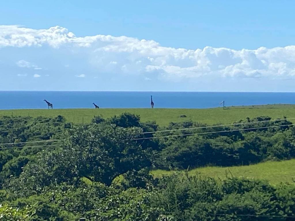 OppiePlaas Country Estate - View 4