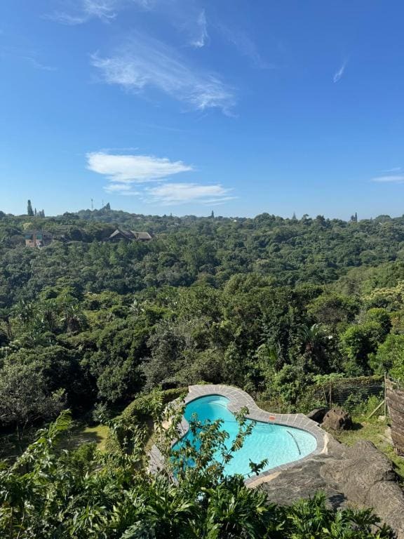 Palm Grove Lodge - View 5