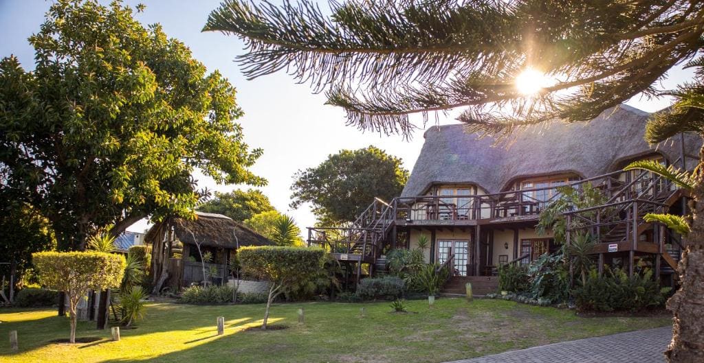 The Birdhouse Bed & Breakfast #NO Loadshedding #Solar Energy - Main view
