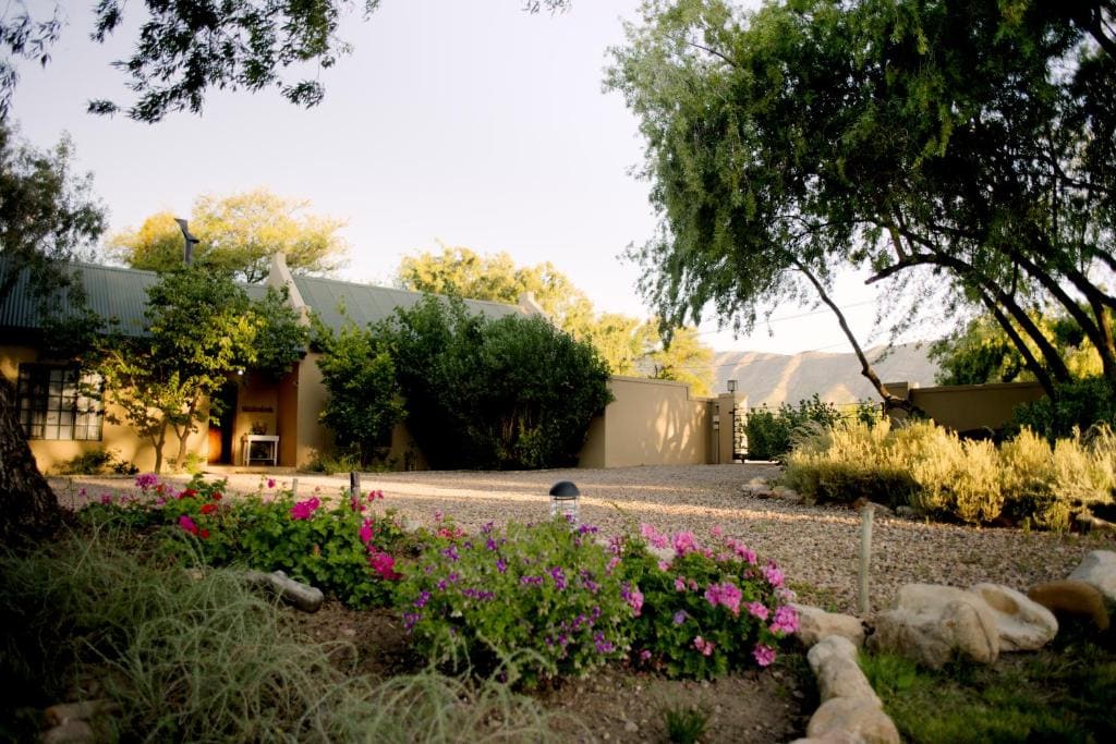 The Olive Thrush Cottage - View 6