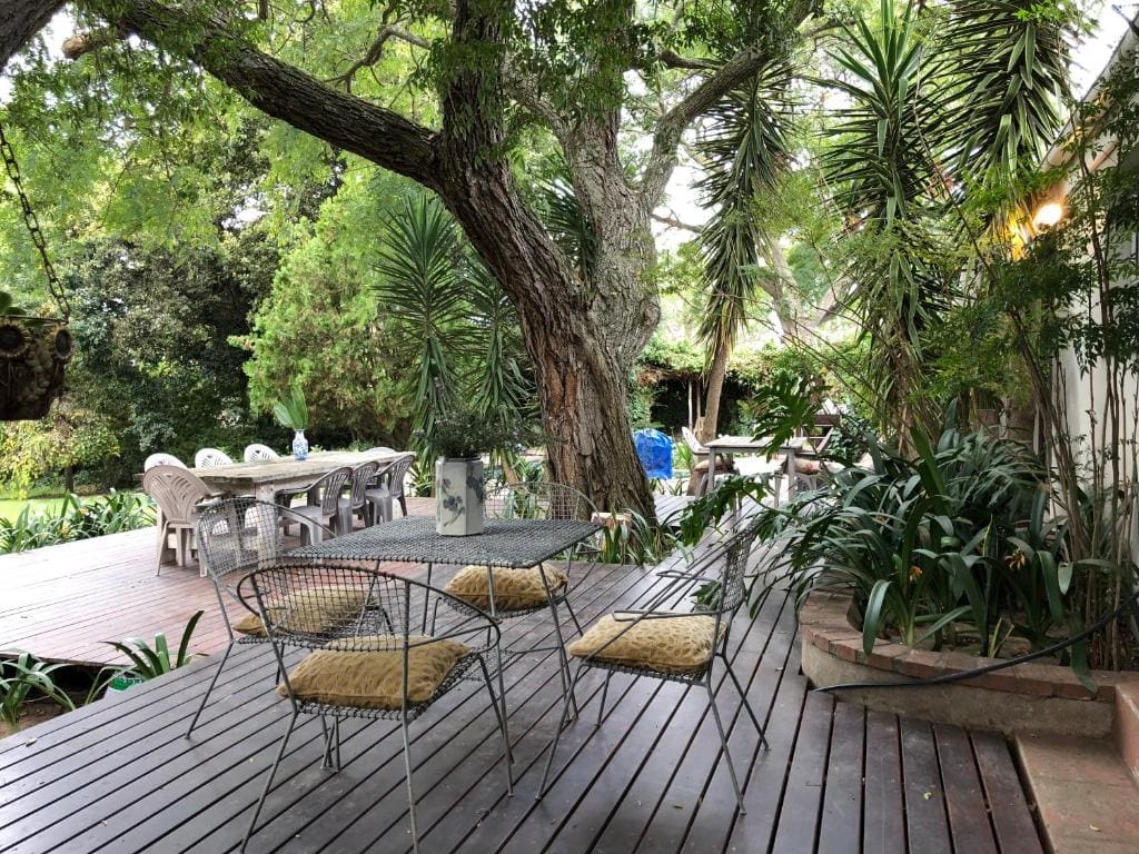 The Wild Fig - View 4